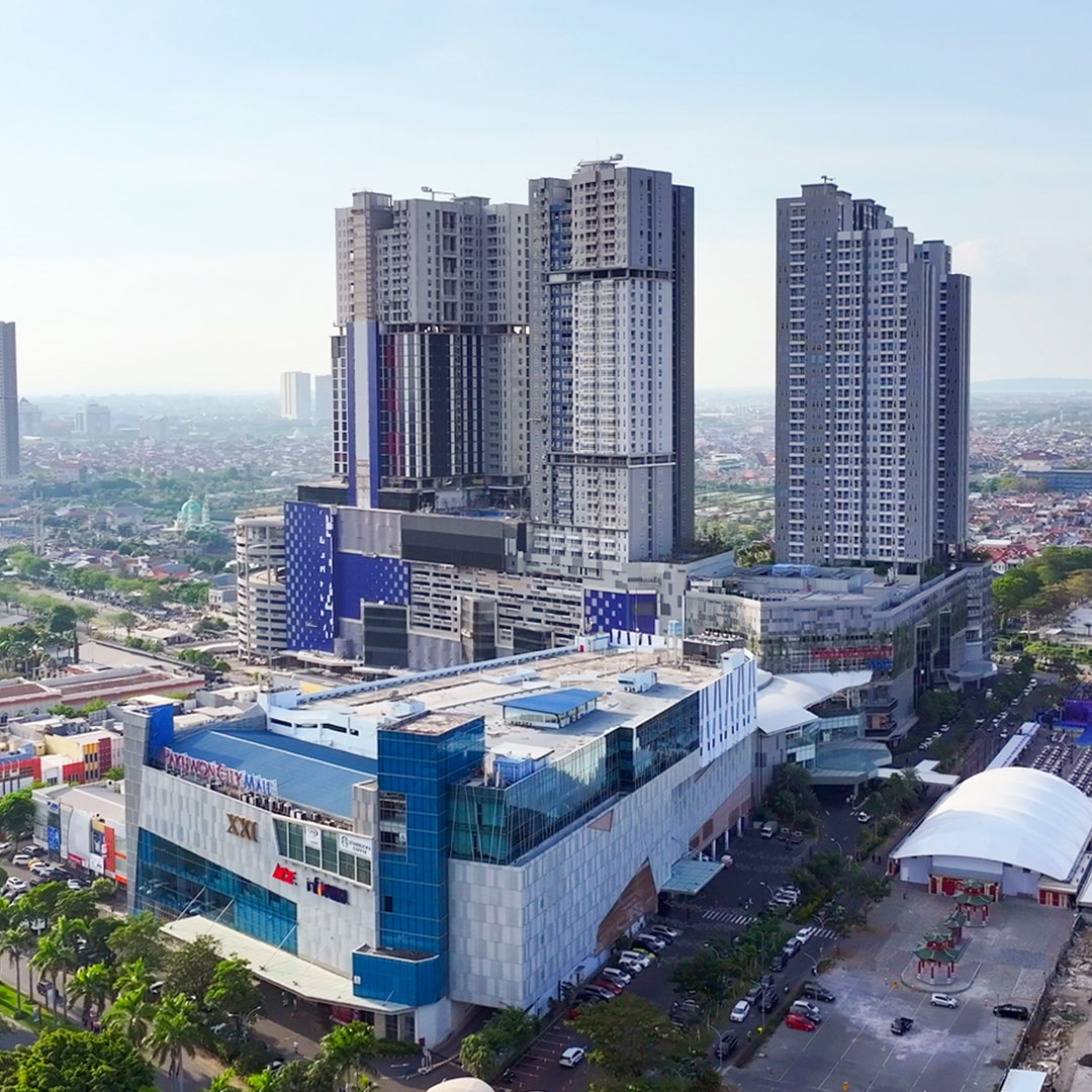 pj-financialstatement-25-03-25